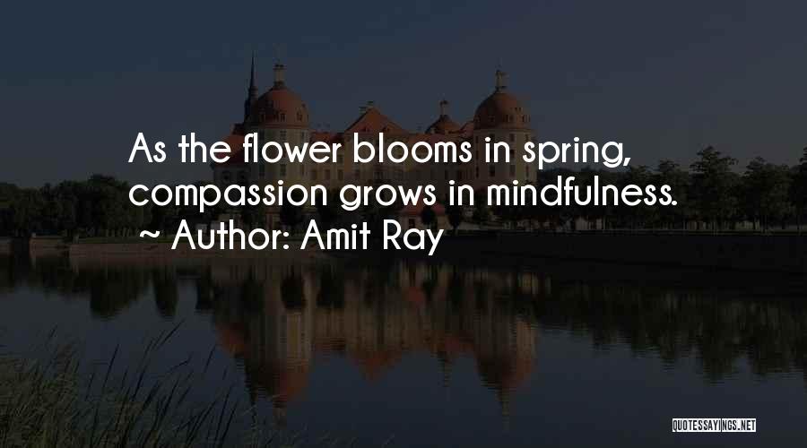 Amit Ray Quotes: As The Flower Blooms In Spring, Compassion Grows In Mindfulness.