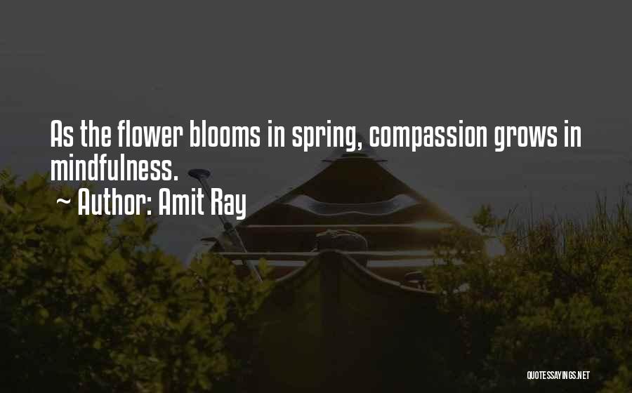 Amit Ray Quotes: As The Flower Blooms In Spring, Compassion Grows In Mindfulness.