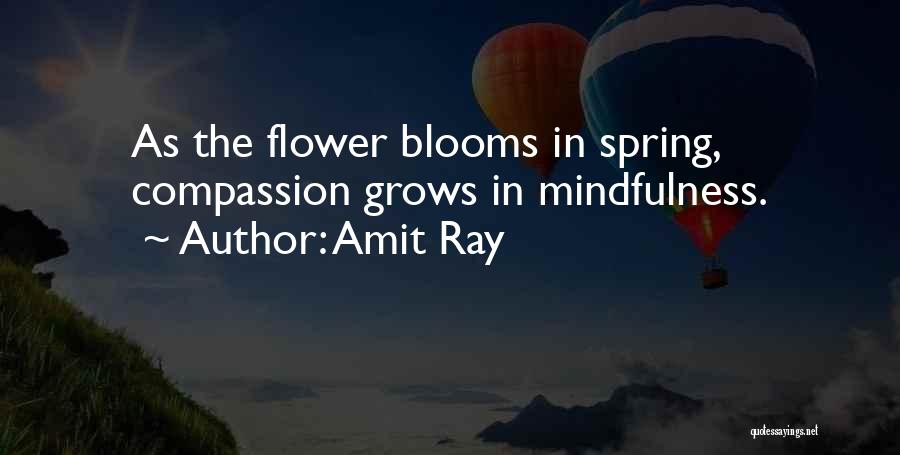 Amit Ray Quotes: As The Flower Blooms In Spring, Compassion Grows In Mindfulness.