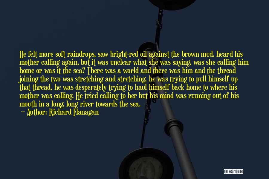 Richard Flanagan Quotes: He Felt More Soft Raindrops, Saw Bright-red Oil Against The Brown Mud, Heard His Mother Calling Again, But It Was