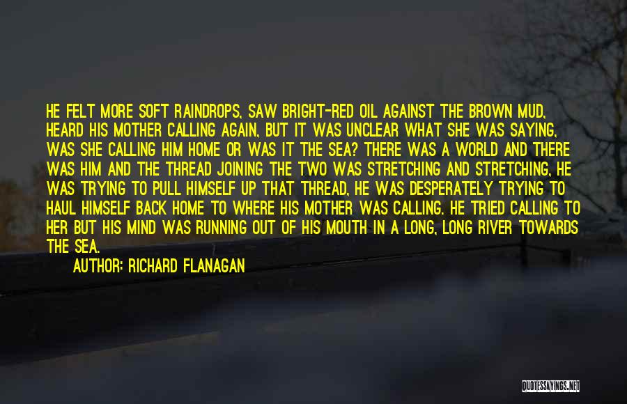 Richard Flanagan Quotes: He Felt More Soft Raindrops, Saw Bright-red Oil Against The Brown Mud, Heard His Mother Calling Again, But It Was