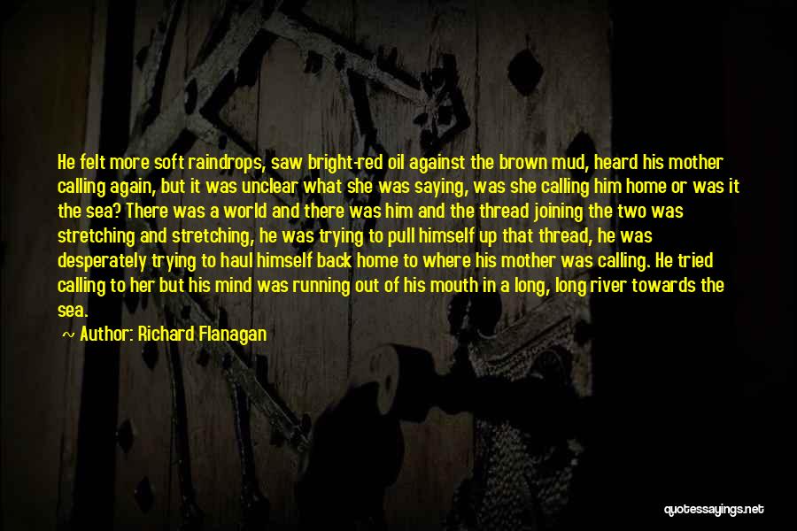 Richard Flanagan Quotes: He Felt More Soft Raindrops, Saw Bright-red Oil Against The Brown Mud, Heard His Mother Calling Again, But It Was