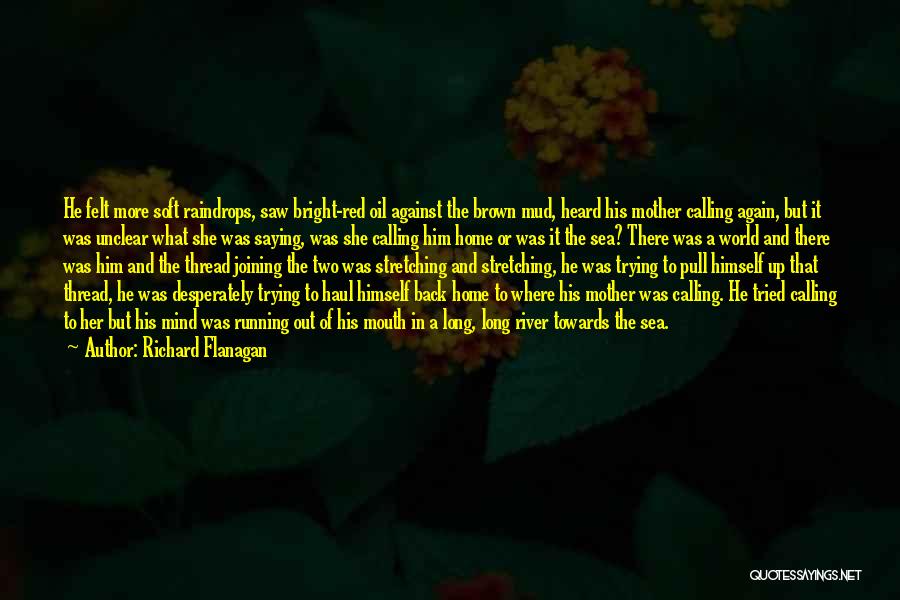 Richard Flanagan Quotes: He Felt More Soft Raindrops, Saw Bright-red Oil Against The Brown Mud, Heard His Mother Calling Again, But It Was