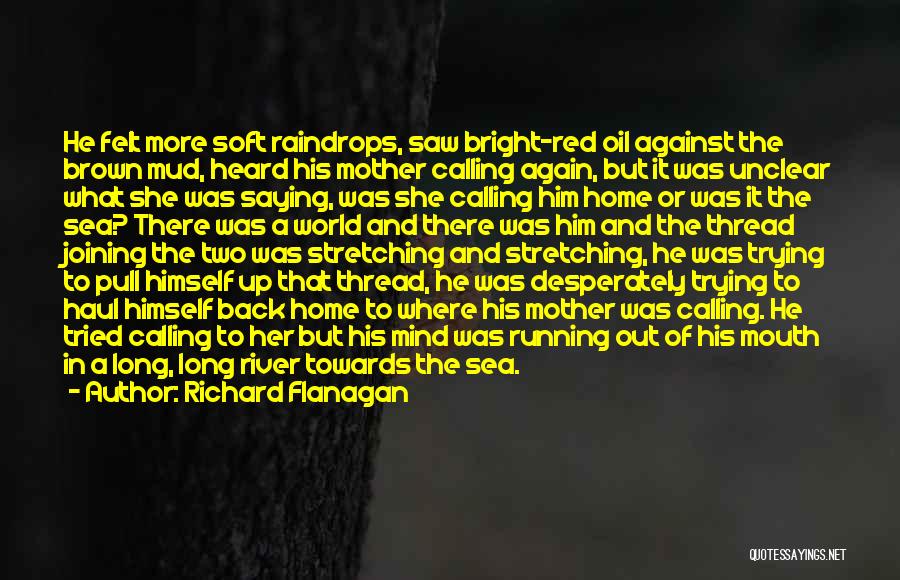 Richard Flanagan Quotes: He Felt More Soft Raindrops, Saw Bright-red Oil Against The Brown Mud, Heard His Mother Calling Again, But It Was