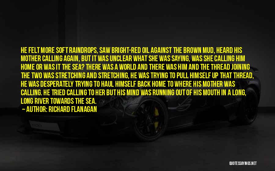 Richard Flanagan Quotes: He Felt More Soft Raindrops, Saw Bright-red Oil Against The Brown Mud, Heard His Mother Calling Again, But It Was