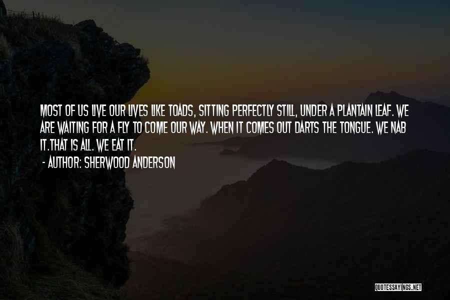 Sherwood Anderson Quotes: Most Of Us Live Our Lives Like Toads, Sitting Perfectly Still, Under A Plantain Leaf. We Are Waiting For A