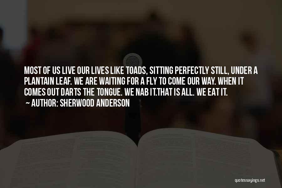 Sherwood Anderson Quotes: Most Of Us Live Our Lives Like Toads, Sitting Perfectly Still, Under A Plantain Leaf. We Are Waiting For A