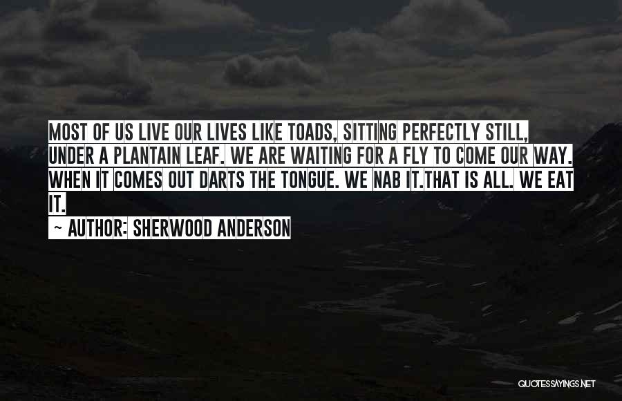 Sherwood Anderson Quotes: Most Of Us Live Our Lives Like Toads, Sitting Perfectly Still, Under A Plantain Leaf. We Are Waiting For A