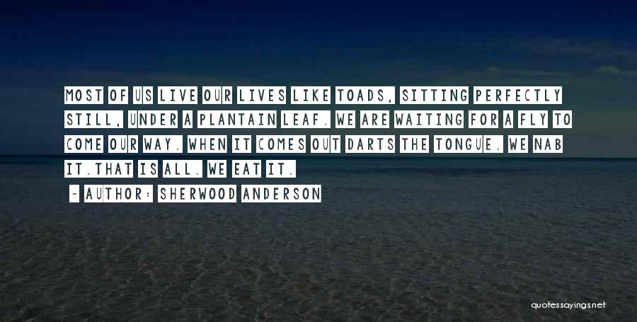 Sherwood Anderson Quotes: Most Of Us Live Our Lives Like Toads, Sitting Perfectly Still, Under A Plantain Leaf. We Are Waiting For A