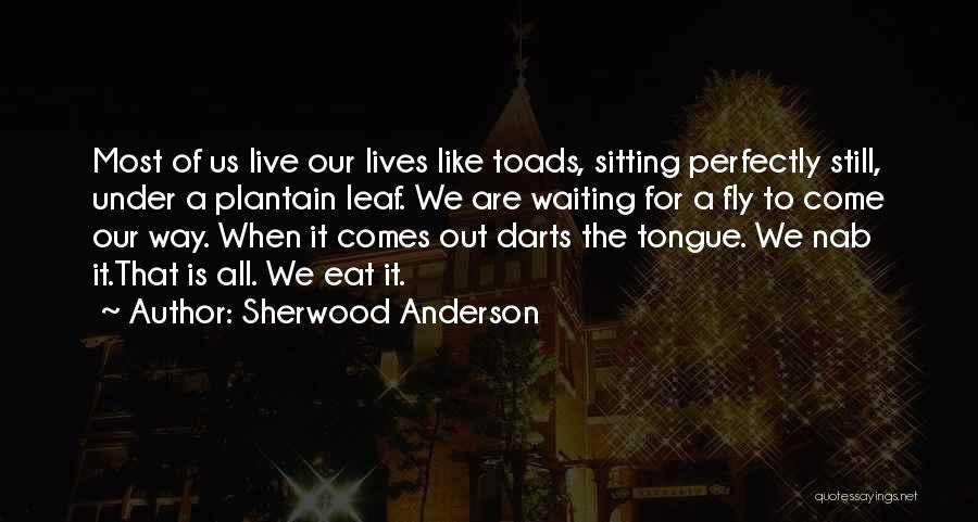 Sherwood Anderson Quotes: Most Of Us Live Our Lives Like Toads, Sitting Perfectly Still, Under A Plantain Leaf. We Are Waiting For A