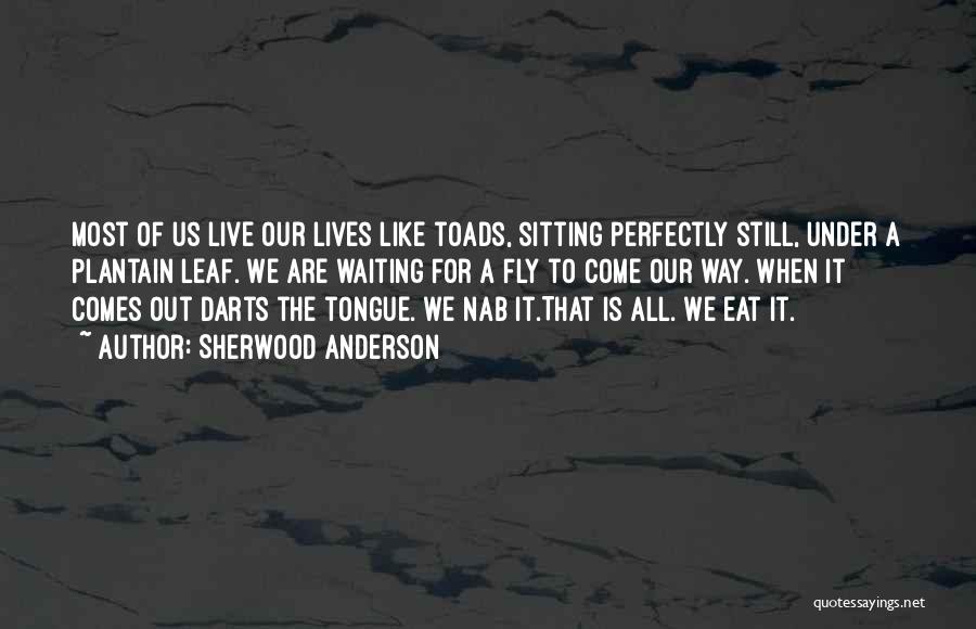 Sherwood Anderson Quotes: Most Of Us Live Our Lives Like Toads, Sitting Perfectly Still, Under A Plantain Leaf. We Are Waiting For A