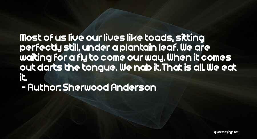 Sherwood Anderson Quotes: Most Of Us Live Our Lives Like Toads, Sitting Perfectly Still, Under A Plantain Leaf. We Are Waiting For A