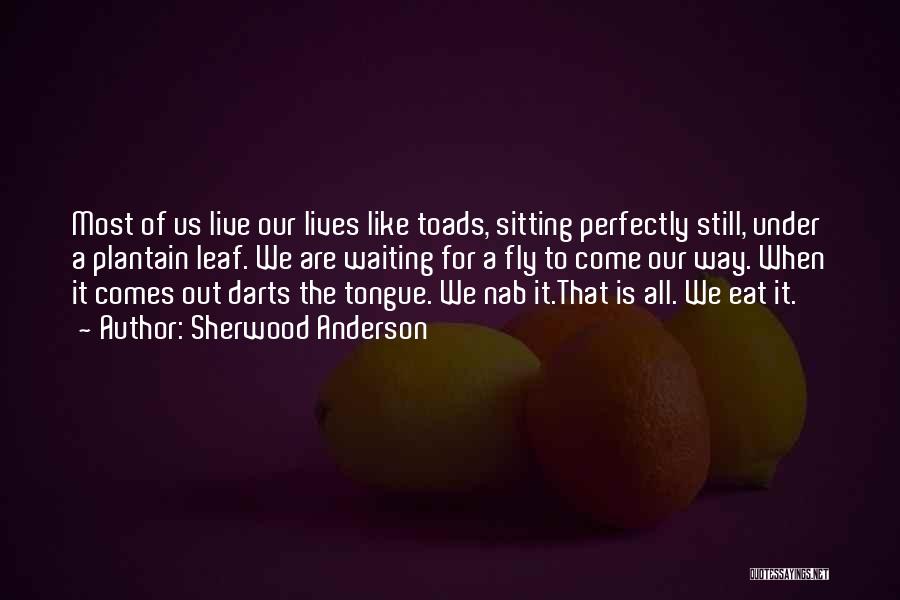 Sherwood Anderson Quotes: Most Of Us Live Our Lives Like Toads, Sitting Perfectly Still, Under A Plantain Leaf. We Are Waiting For A