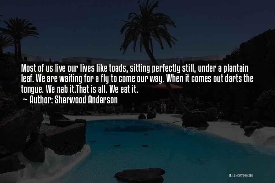 Sherwood Anderson Quotes: Most Of Us Live Our Lives Like Toads, Sitting Perfectly Still, Under A Plantain Leaf. We Are Waiting For A