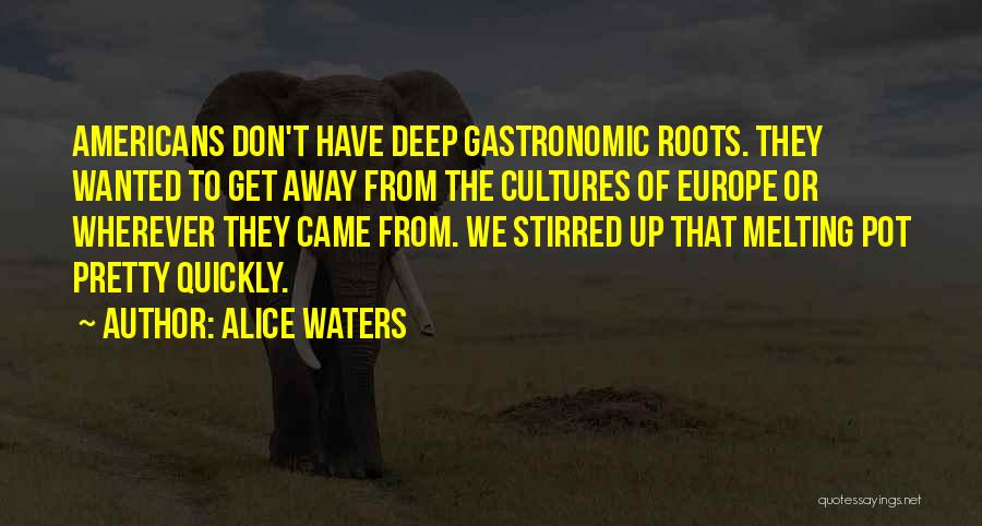 Alice Waters Quotes: Americans Don't Have Deep Gastronomic Roots. They Wanted To Get Away From The Cultures Of Europe Or Wherever They Came