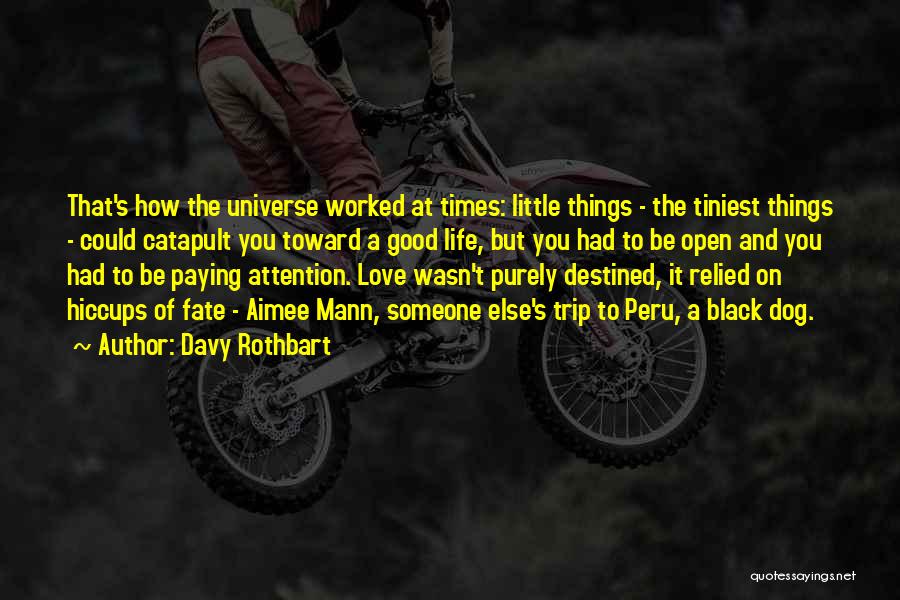 Davy Rothbart Quotes: That's How The Universe Worked At Times: Little Things - The Tiniest Things - Could Catapult You Toward A Good
