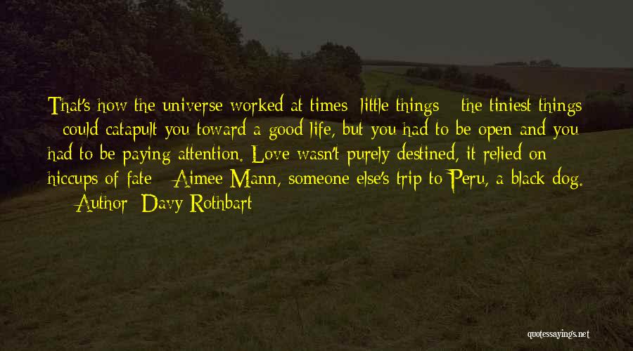 Davy Rothbart Quotes: That's How The Universe Worked At Times: Little Things - The Tiniest Things - Could Catapult You Toward A Good