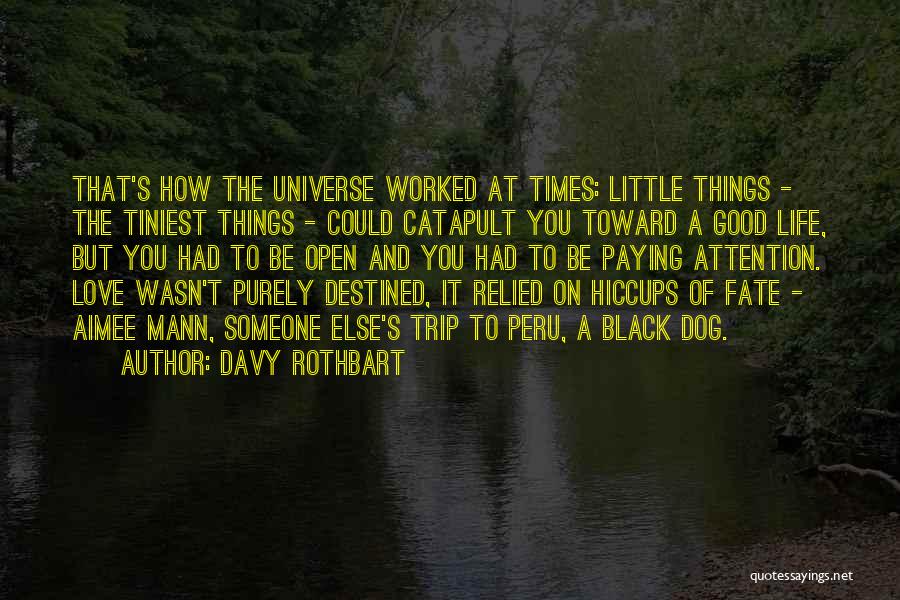 Davy Rothbart Quotes: That's How The Universe Worked At Times: Little Things - The Tiniest Things - Could Catapult You Toward A Good