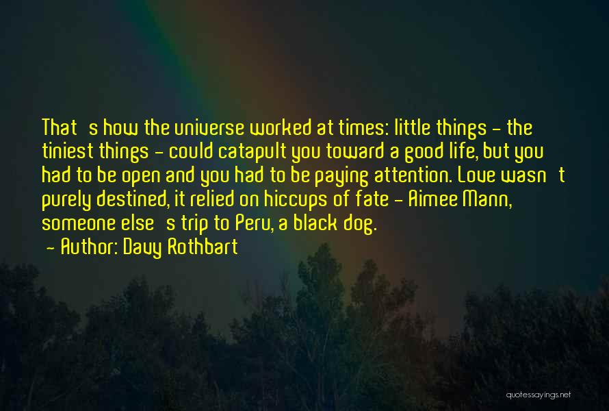 Davy Rothbart Quotes: That's How The Universe Worked At Times: Little Things - The Tiniest Things - Could Catapult You Toward A Good