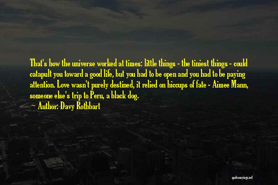 Davy Rothbart Quotes: That's How The Universe Worked At Times: Little Things - The Tiniest Things - Could Catapult You Toward A Good