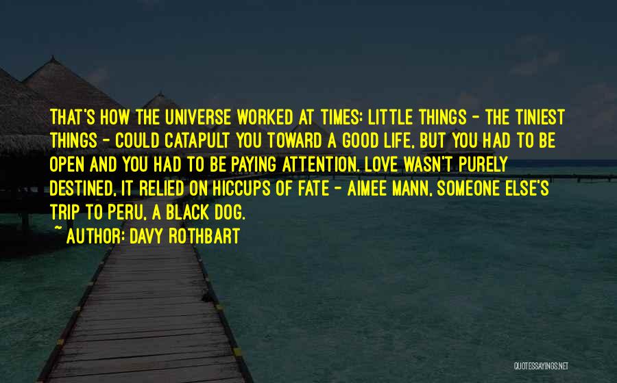 Davy Rothbart Quotes: That's How The Universe Worked At Times: Little Things - The Tiniest Things - Could Catapult You Toward A Good