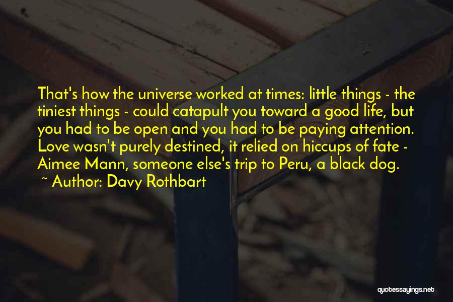 Davy Rothbart Quotes: That's How The Universe Worked At Times: Little Things - The Tiniest Things - Could Catapult You Toward A Good