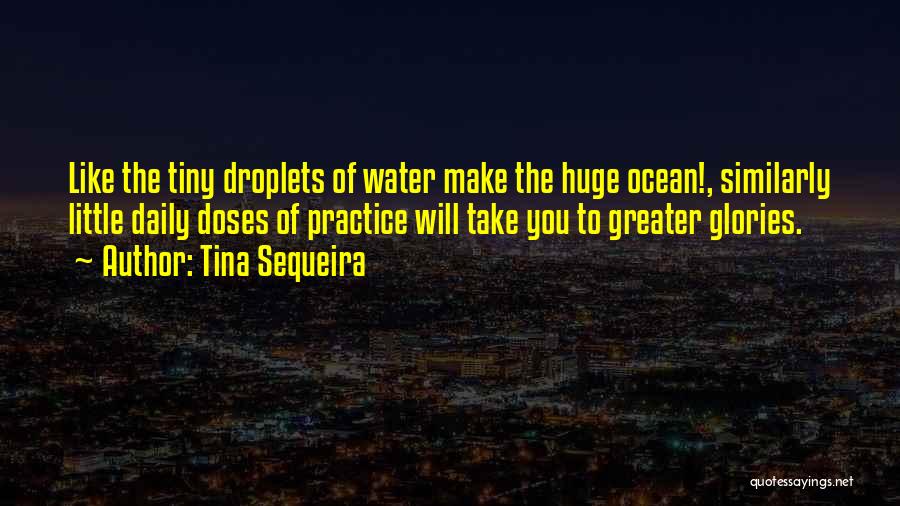 Tina Sequeira Quotes: Like The Tiny Droplets Of Water Make The Huge Ocean!, Similarly Little Daily Doses Of Practice Will Take You To