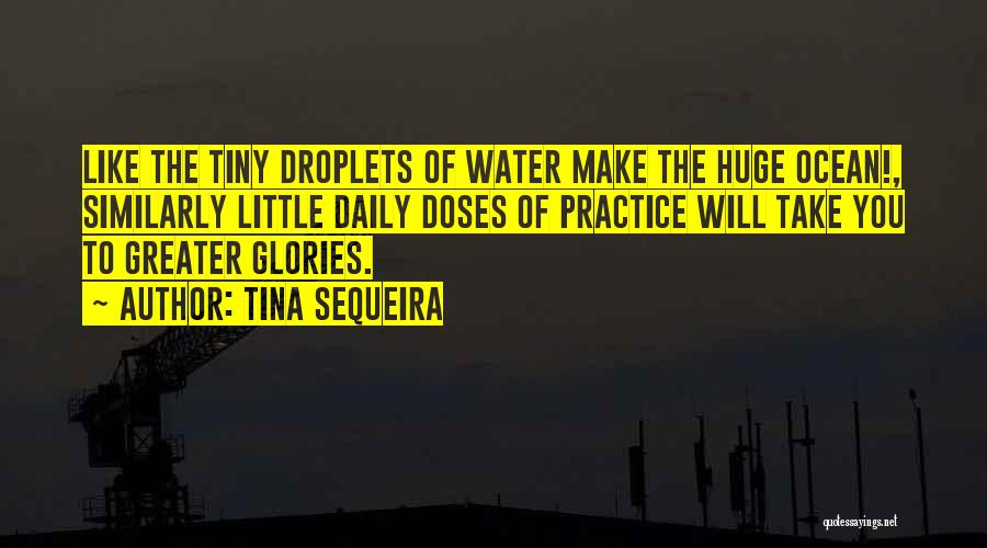 Tina Sequeira Quotes: Like The Tiny Droplets Of Water Make The Huge Ocean!, Similarly Little Daily Doses Of Practice Will Take You To