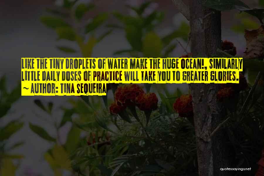 Tina Sequeira Quotes: Like The Tiny Droplets Of Water Make The Huge Ocean!, Similarly Little Daily Doses Of Practice Will Take You To