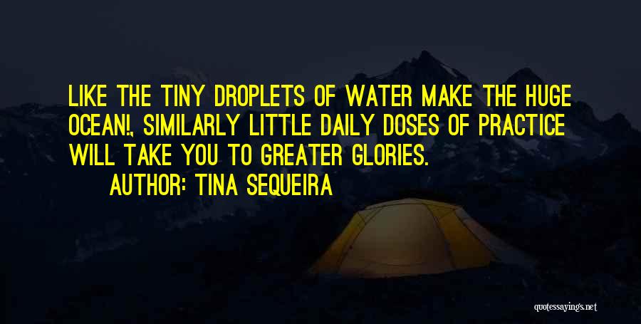 Tina Sequeira Quotes: Like The Tiny Droplets Of Water Make The Huge Ocean!, Similarly Little Daily Doses Of Practice Will Take You To