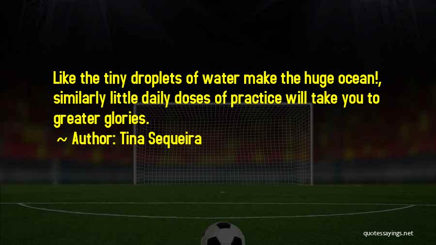 Tina Sequeira Quotes: Like The Tiny Droplets Of Water Make The Huge Ocean!, Similarly Little Daily Doses Of Practice Will Take You To