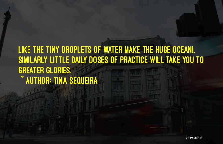 Tina Sequeira Quotes: Like The Tiny Droplets Of Water Make The Huge Ocean!, Similarly Little Daily Doses Of Practice Will Take You To