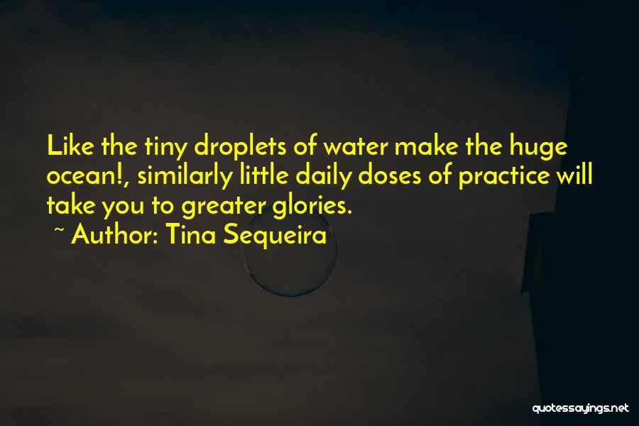 Tina Sequeira Quotes: Like The Tiny Droplets Of Water Make The Huge Ocean!, Similarly Little Daily Doses Of Practice Will Take You To