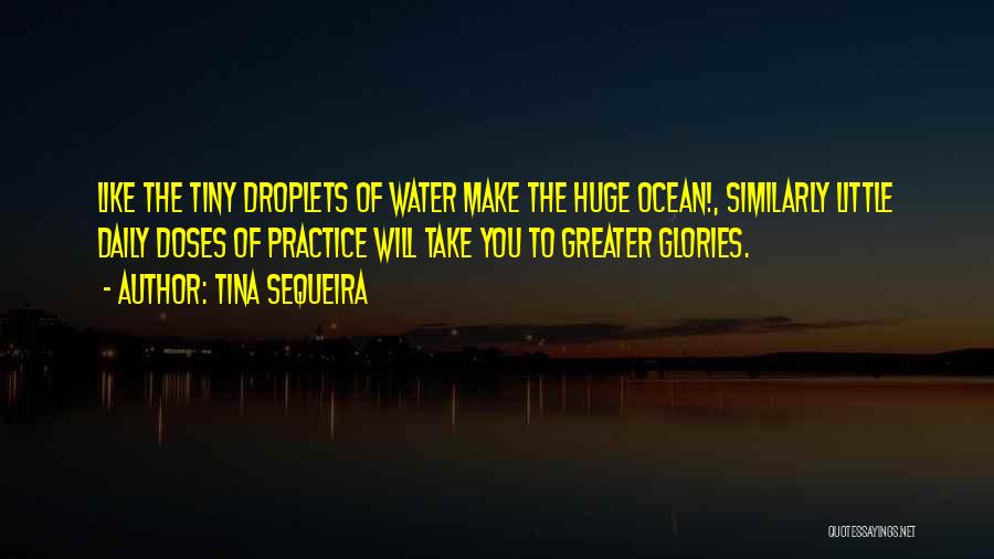 Tina Sequeira Quotes: Like The Tiny Droplets Of Water Make The Huge Ocean!, Similarly Little Daily Doses Of Practice Will Take You To