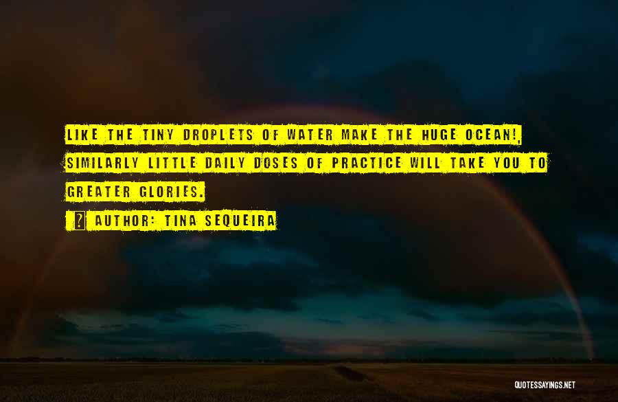 Tina Sequeira Quotes: Like The Tiny Droplets Of Water Make The Huge Ocean!, Similarly Little Daily Doses Of Practice Will Take You To