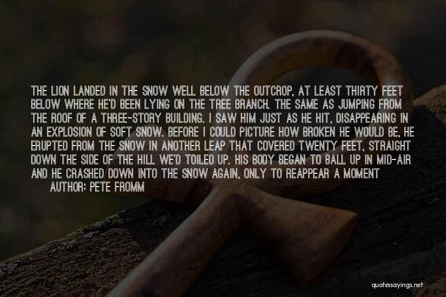 Pete Fromm Quotes: The Lion Landed In The Snow Well Below The Outcrop, At Least Thirty Feet Below Where He'd Been Lying On