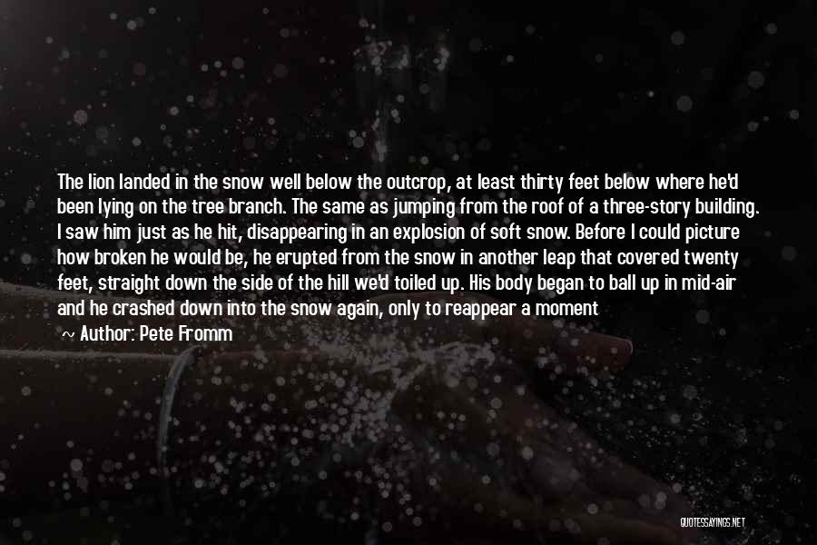 Pete Fromm Quotes: The Lion Landed In The Snow Well Below The Outcrop, At Least Thirty Feet Below Where He'd Been Lying On