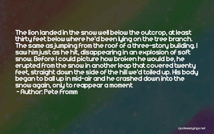 Pete Fromm Quotes: The Lion Landed In The Snow Well Below The Outcrop, At Least Thirty Feet Below Where He'd Been Lying On