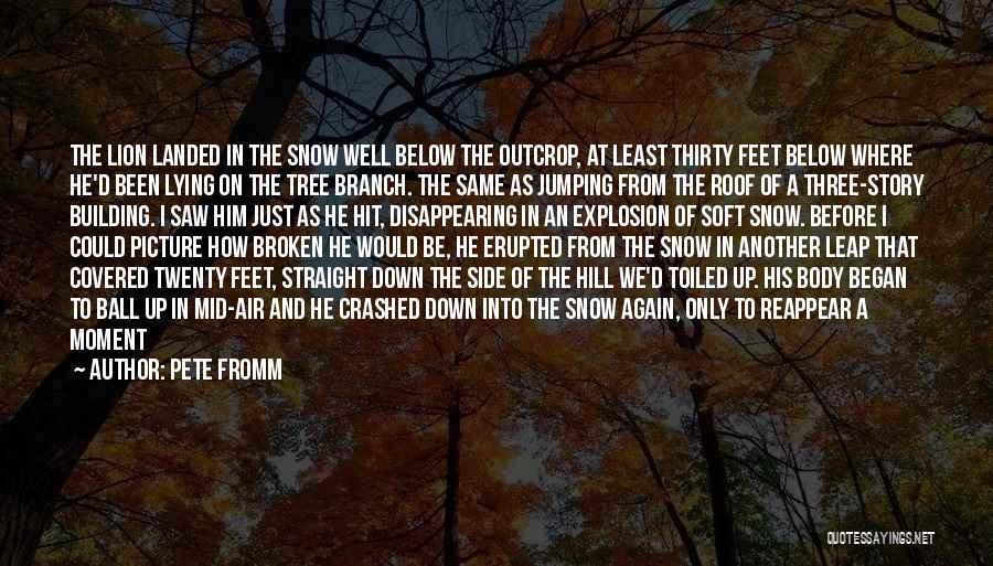 Pete Fromm Quotes: The Lion Landed In The Snow Well Below The Outcrop, At Least Thirty Feet Below Where He'd Been Lying On