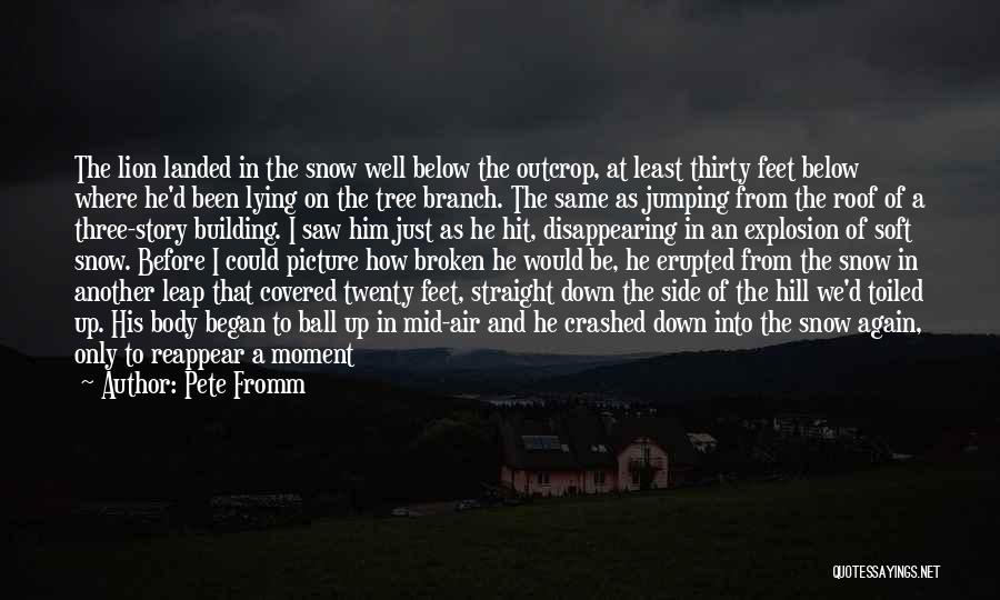 Pete Fromm Quotes: The Lion Landed In The Snow Well Below The Outcrop, At Least Thirty Feet Below Where He'd Been Lying On