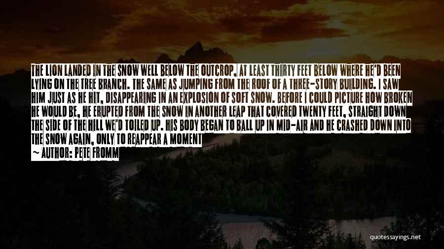 Pete Fromm Quotes: The Lion Landed In The Snow Well Below The Outcrop, At Least Thirty Feet Below Where He'd Been Lying On