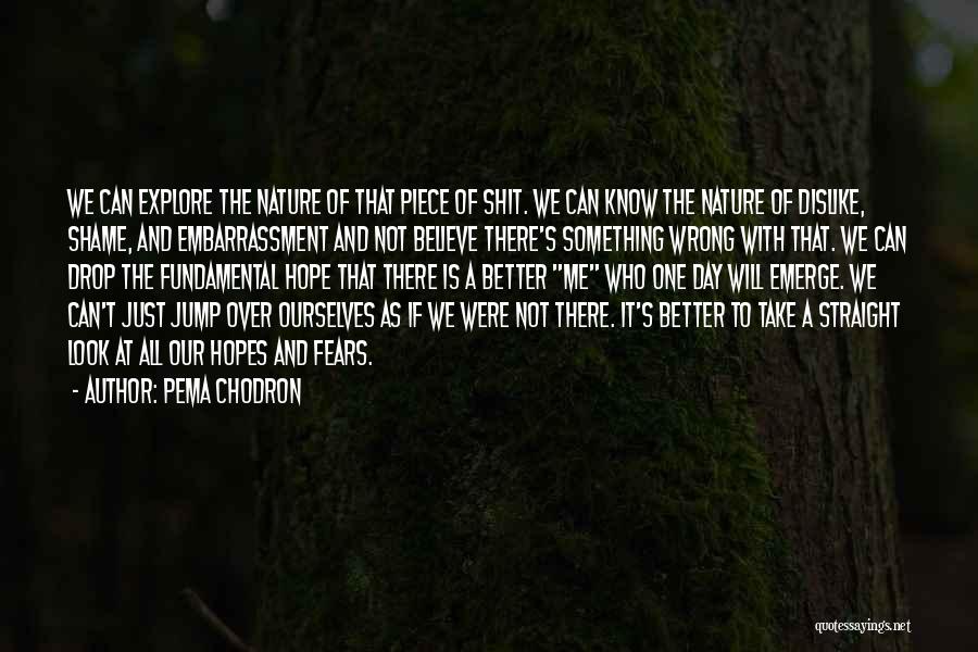 Pema Chodron Quotes: We Can Explore The Nature Of That Piece Of Shit. We Can Know The Nature Of Dislike, Shame, And Embarrassment