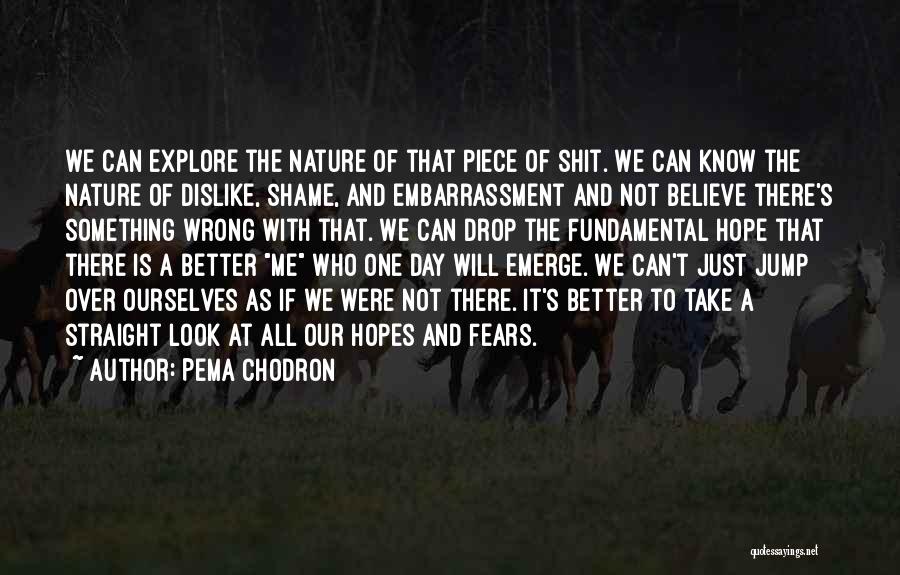 Pema Chodron Quotes: We Can Explore The Nature Of That Piece Of Shit. We Can Know The Nature Of Dislike, Shame, And Embarrassment