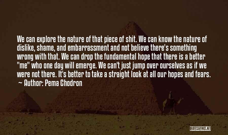 Pema Chodron Quotes: We Can Explore The Nature Of That Piece Of Shit. We Can Know The Nature Of Dislike, Shame, And Embarrassment