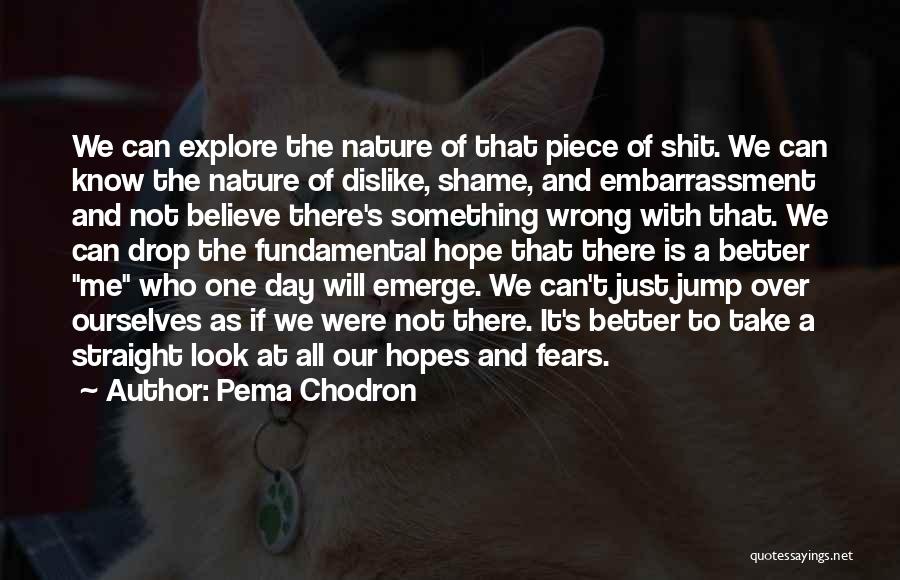 Pema Chodron Quotes: We Can Explore The Nature Of That Piece Of Shit. We Can Know The Nature Of Dislike, Shame, And Embarrassment