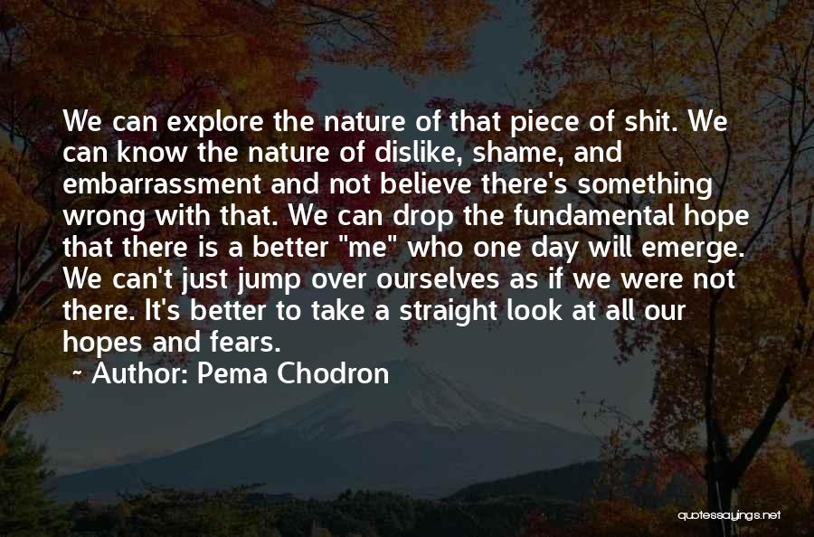 Pema Chodron Quotes: We Can Explore The Nature Of That Piece Of Shit. We Can Know The Nature Of Dislike, Shame, And Embarrassment