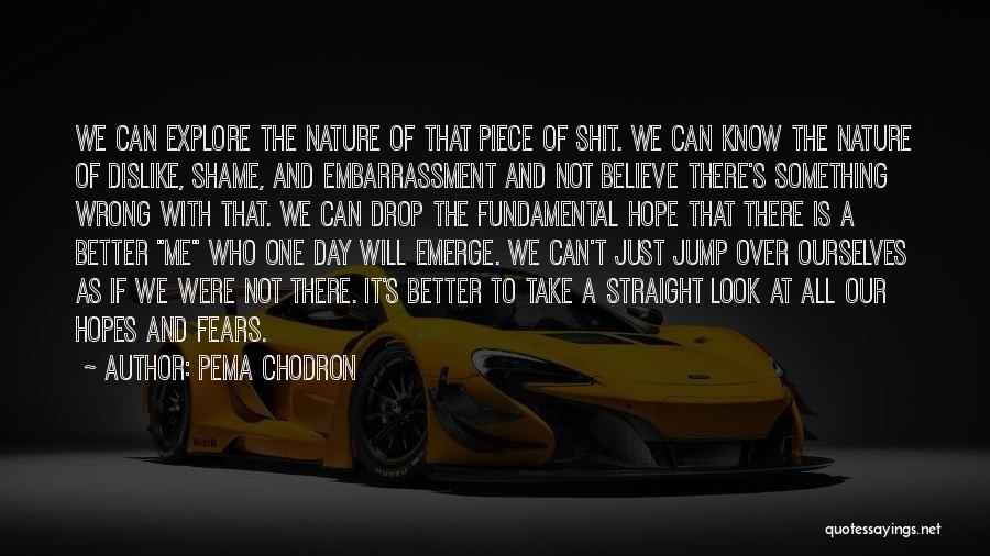 Pema Chodron Quotes: We Can Explore The Nature Of That Piece Of Shit. We Can Know The Nature Of Dislike, Shame, And Embarrassment
