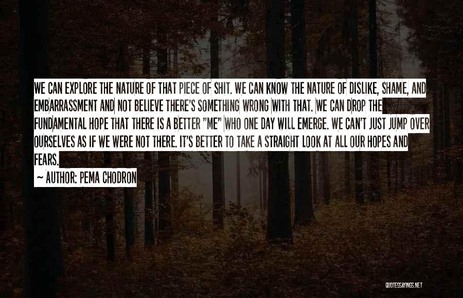 Pema Chodron Quotes: We Can Explore The Nature Of That Piece Of Shit. We Can Know The Nature Of Dislike, Shame, And Embarrassment