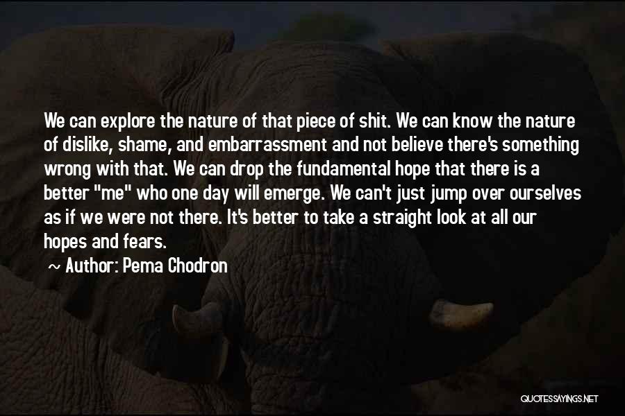 Pema Chodron Quotes: We Can Explore The Nature Of That Piece Of Shit. We Can Know The Nature Of Dislike, Shame, And Embarrassment