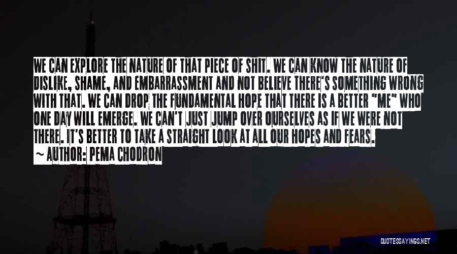 Pema Chodron Quotes: We Can Explore The Nature Of That Piece Of Shit. We Can Know The Nature Of Dislike, Shame, And Embarrassment